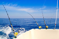 Cabo San Lucas Sport Fishing cruise excursion